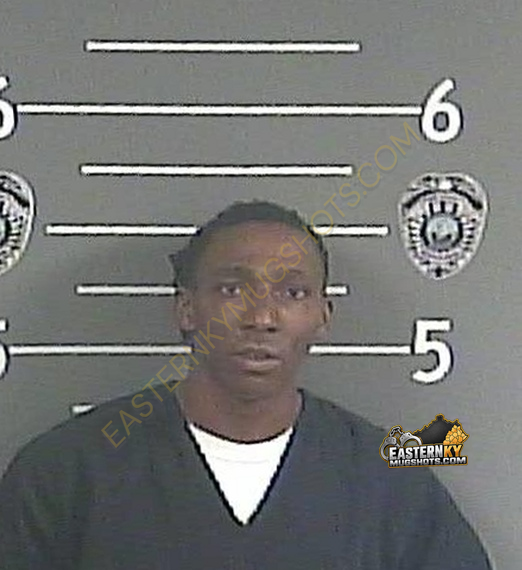 STEPHEN R HERRING booking photo