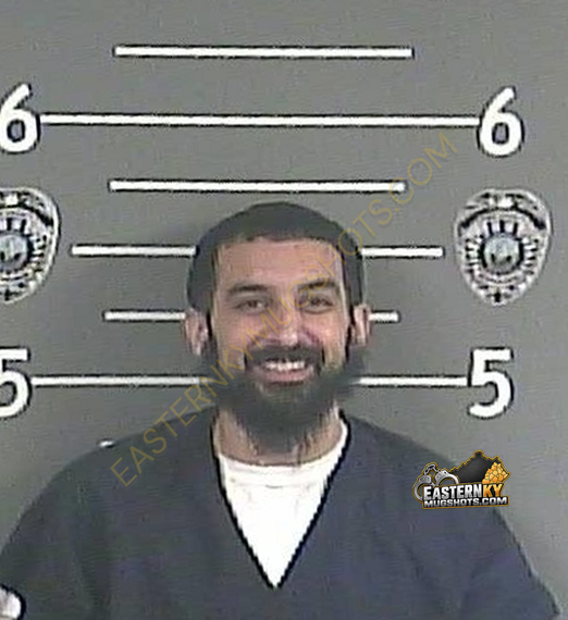 HASAN A ELHAWA booking photo