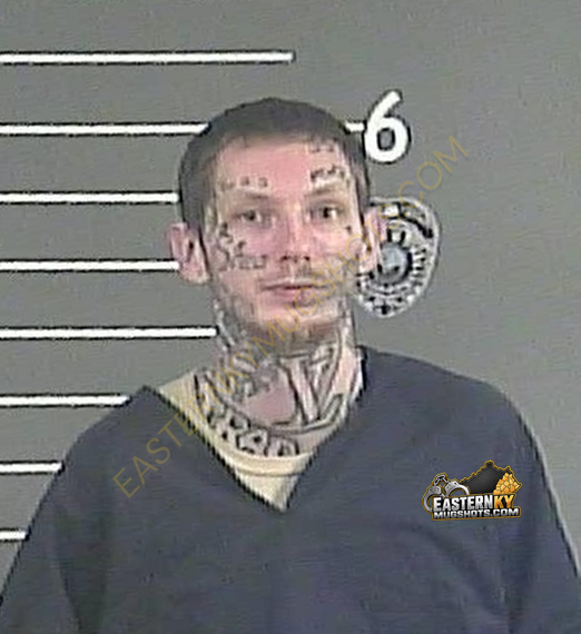 AUSTIN B BURCHFIELD booking photo