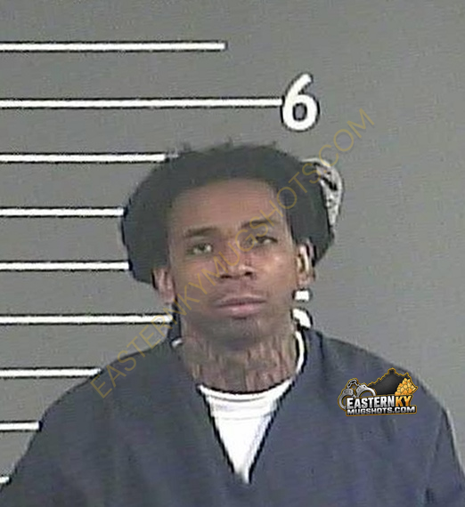 HAROLD T COLLINS booking photo