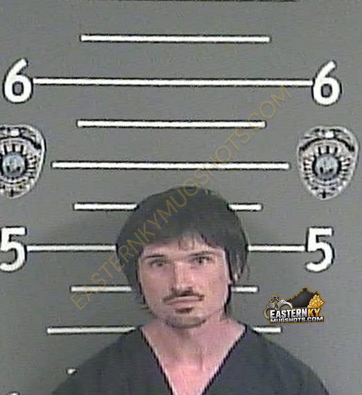 JUSTIN M SELLARDS booking photo