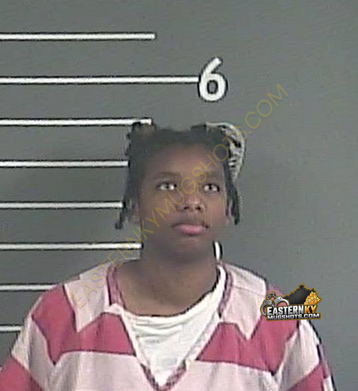 CIERRA C LEE booking photo