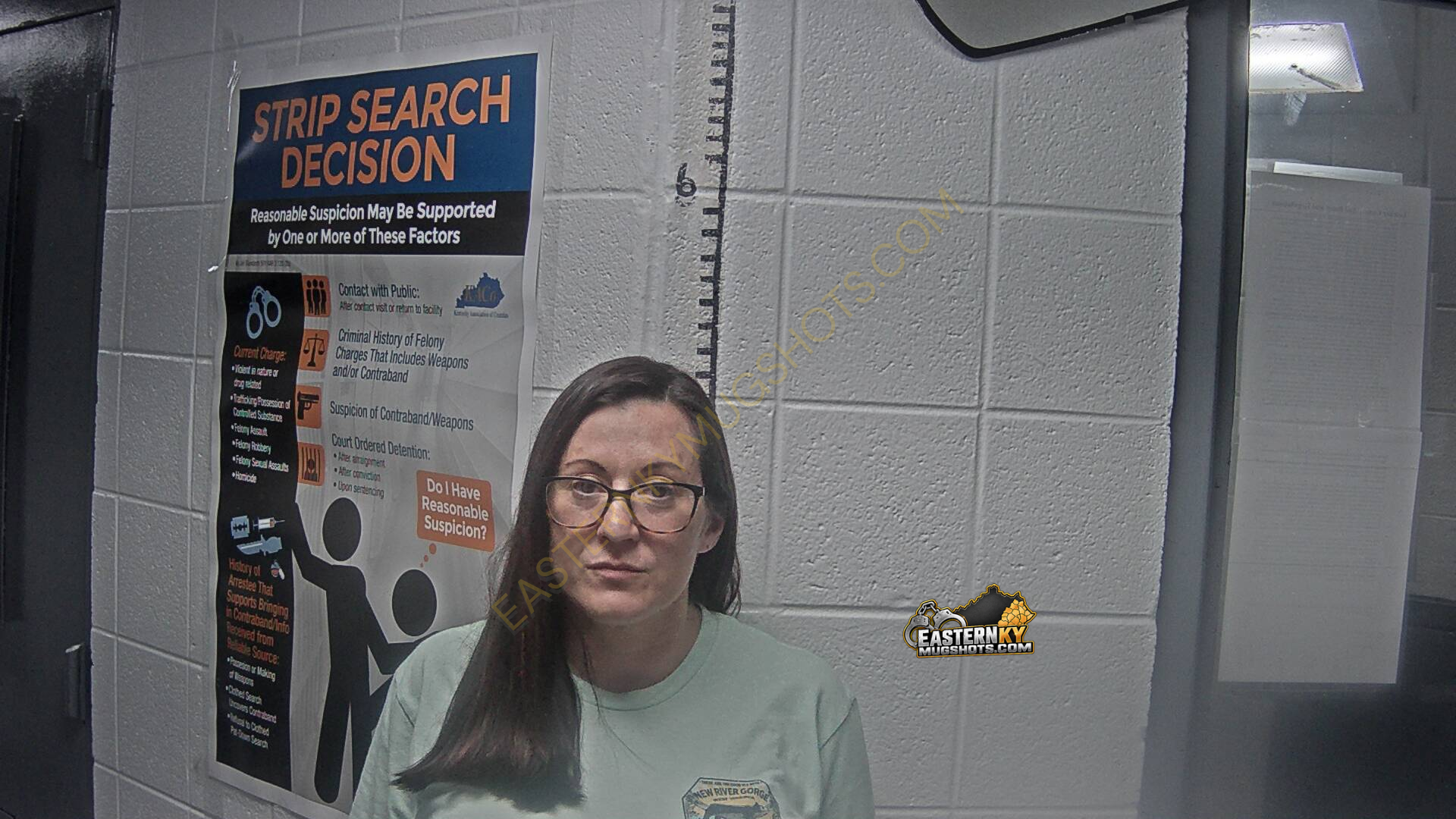 Amber Marie Caudill arrest photo