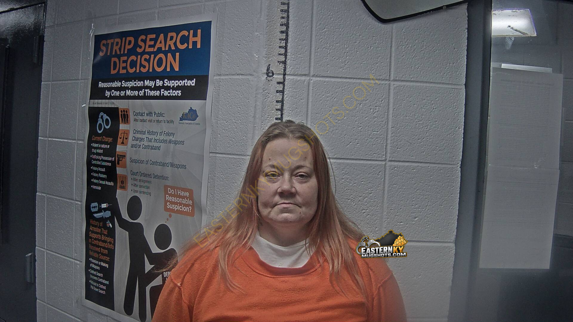 Tara Velasco arrest photo