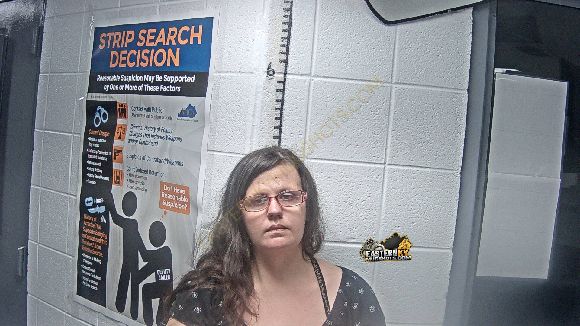 Jessica Nicole Craft arrest photo